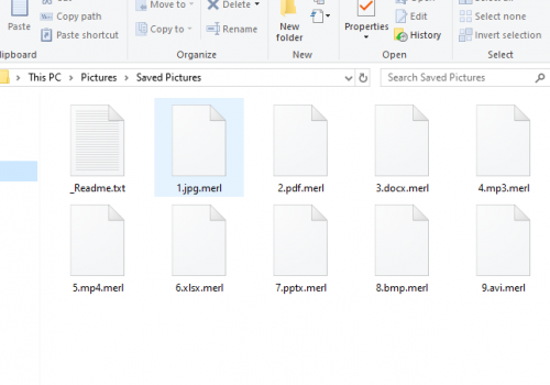 Merl ransomware Retiro