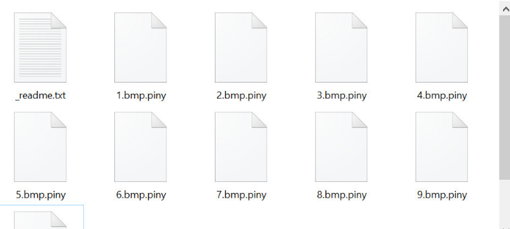 Piny file virus