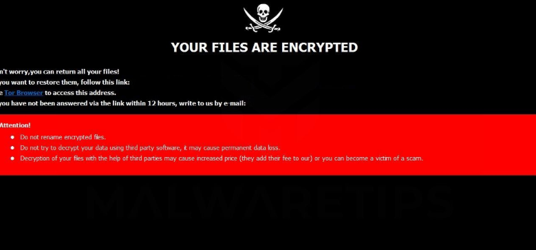 Rober Ransomware