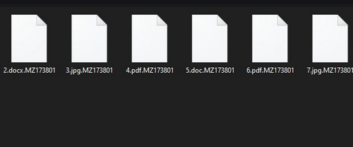 Eliminar Rooster865qqZ ransomware