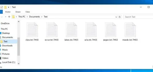 Eliminar .TMS5 files ransomware