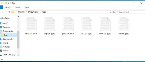 Eliminar .pysa files ransomware