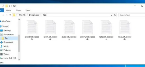 Quitar .Picocode file
