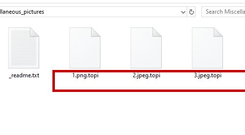 Topi Ransomware Retiro