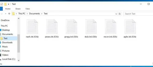 Eliminar .tl30z extension virus
