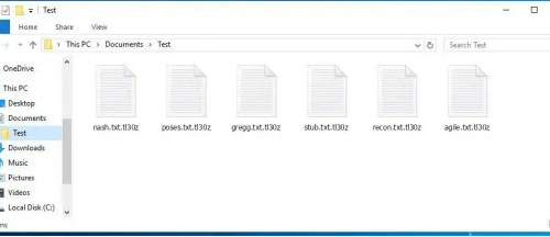 Quitar .tl30z file ransomware