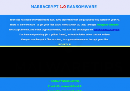 Eliminar 8800 ransomware