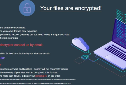 Eliminar NetworkMaze