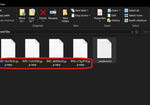 Eliminar REPP ransomware