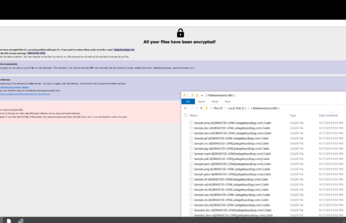 Eliminar Razor ransowmare