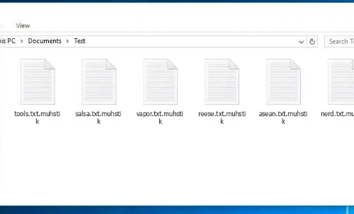 Eliminar .bhack files