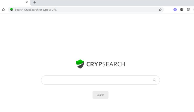 CrypSearch Extension