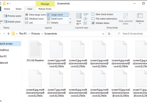 Eliminar Netwalker ransomware