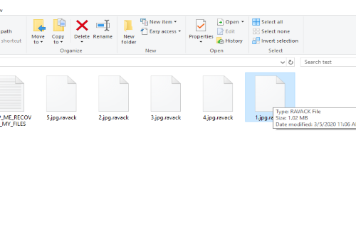 Ravack ransomware Retiro
