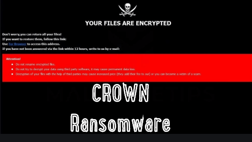 RekenSom ransomware