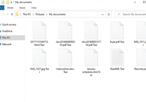 Tsar ransomware Retiro