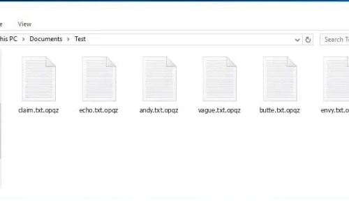 Eliminar .opqz file virus