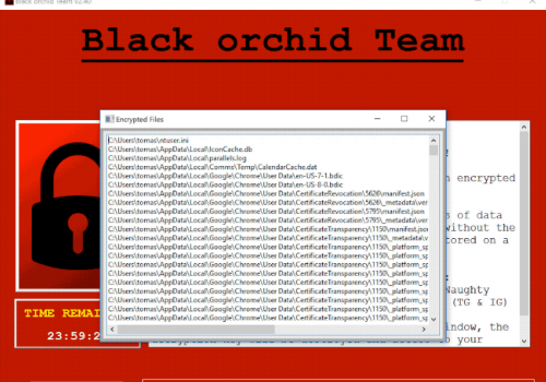 Eliminar Black Orchid ransowmare