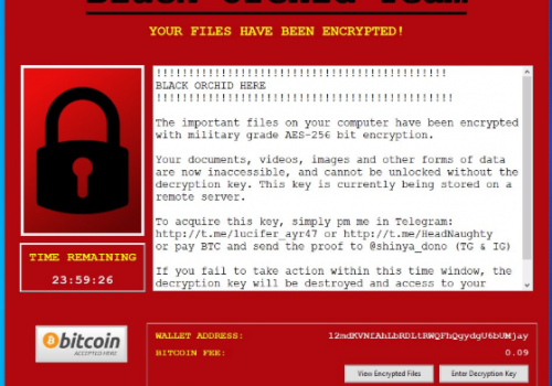 BlackOrchid ransomware Retiro