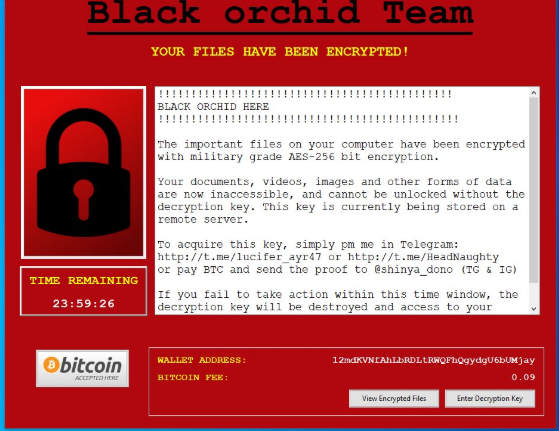 BlackOrchid ransomware