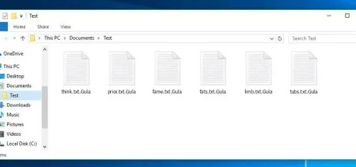 Gula ransomware Retiro