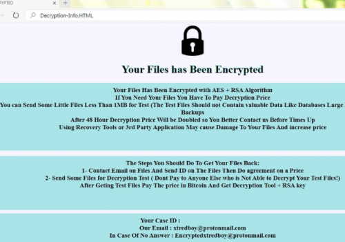 Eliminar .Void file virus