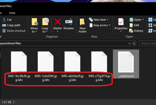 Eliminar .lalo files