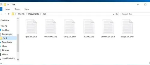 ZRB file virus Retiro