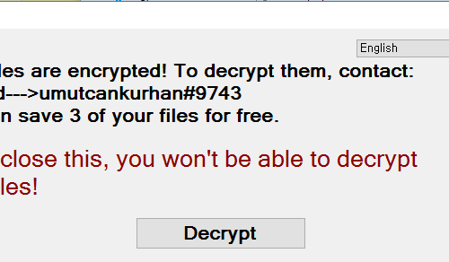 Eliminar .Zeronine extension virus