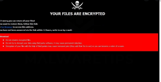 FRM ransomware