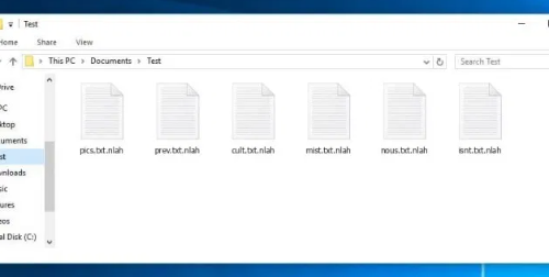 Eliminar .NLAH file virus