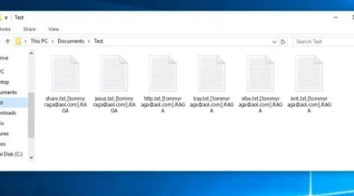 Eliminar .RAGA ransomware