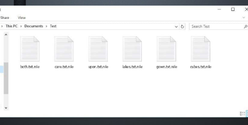 .Nile file ransomware Retiro