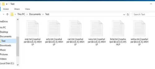 WSHLP ransomware Retiro