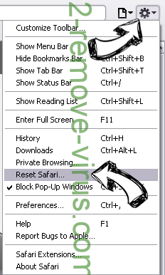 Nssuccess.club Safari reset menu