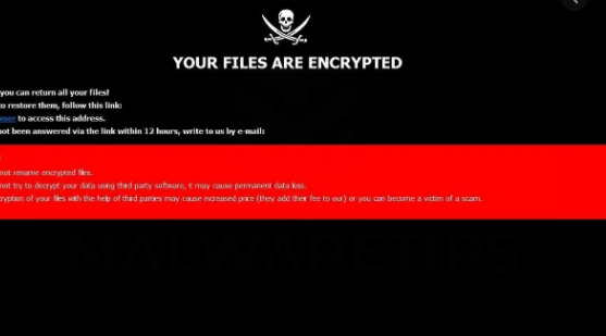 Bmd ransomware