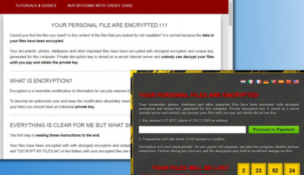 Cl ransomware