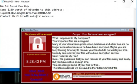 Lina ransomware