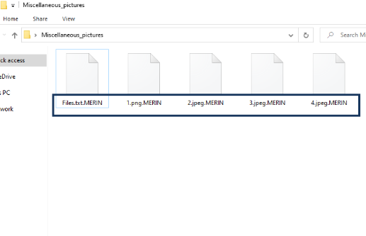 MERIN Files Ransomware
