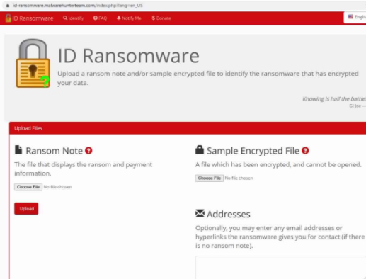 Montana file ransomware