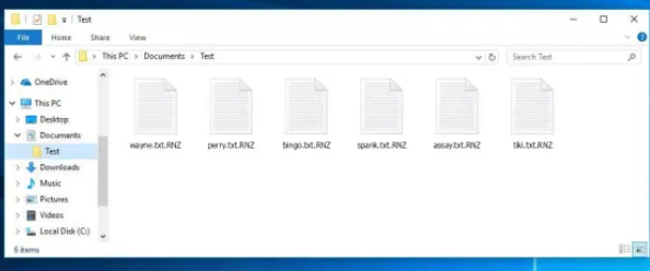 RNZ Files Ransomware