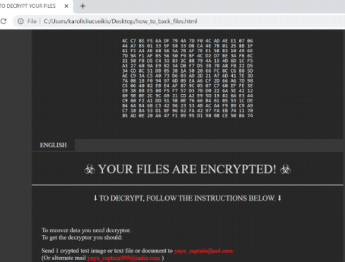 YAYA ransomware