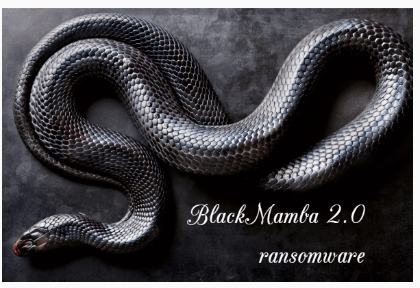 BlackMamba file