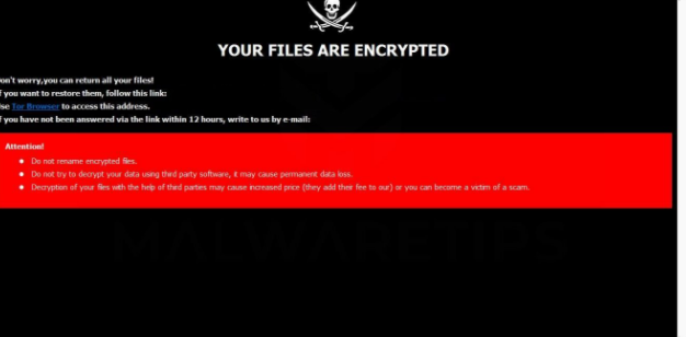 Pirat ransomware