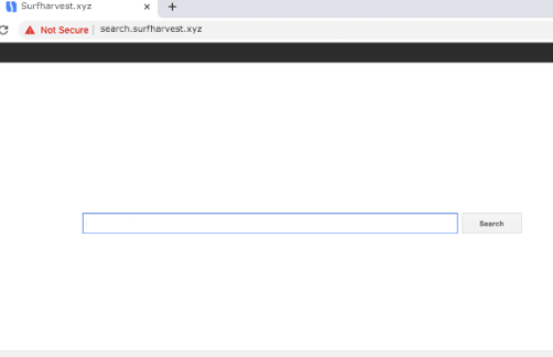 Search-surfharvest-xyz