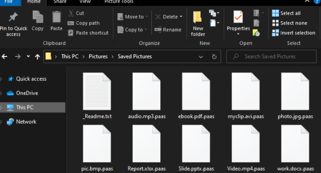 Paas file Ransomware