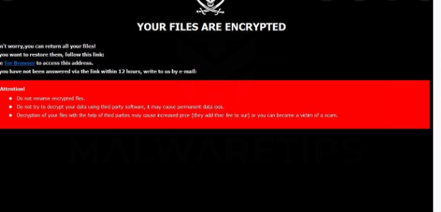 Loki Locker Ransomware