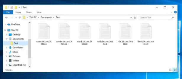 JANELLE file virus Ransomware