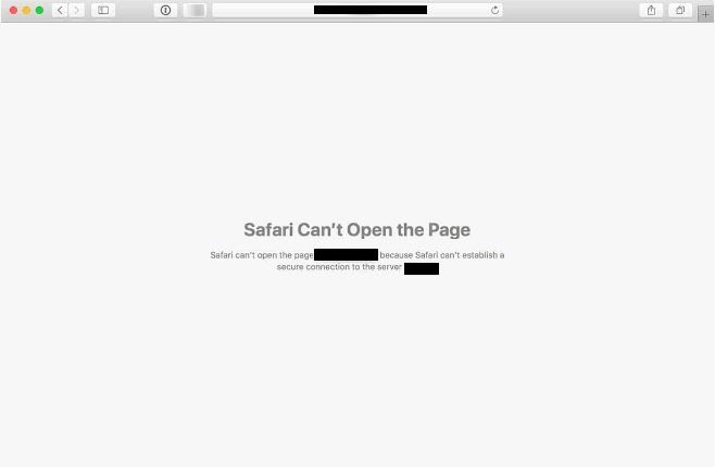 Safari error